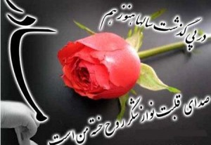 /upload/b/bia2sms7/image/SMS-madar-300x207.jpg