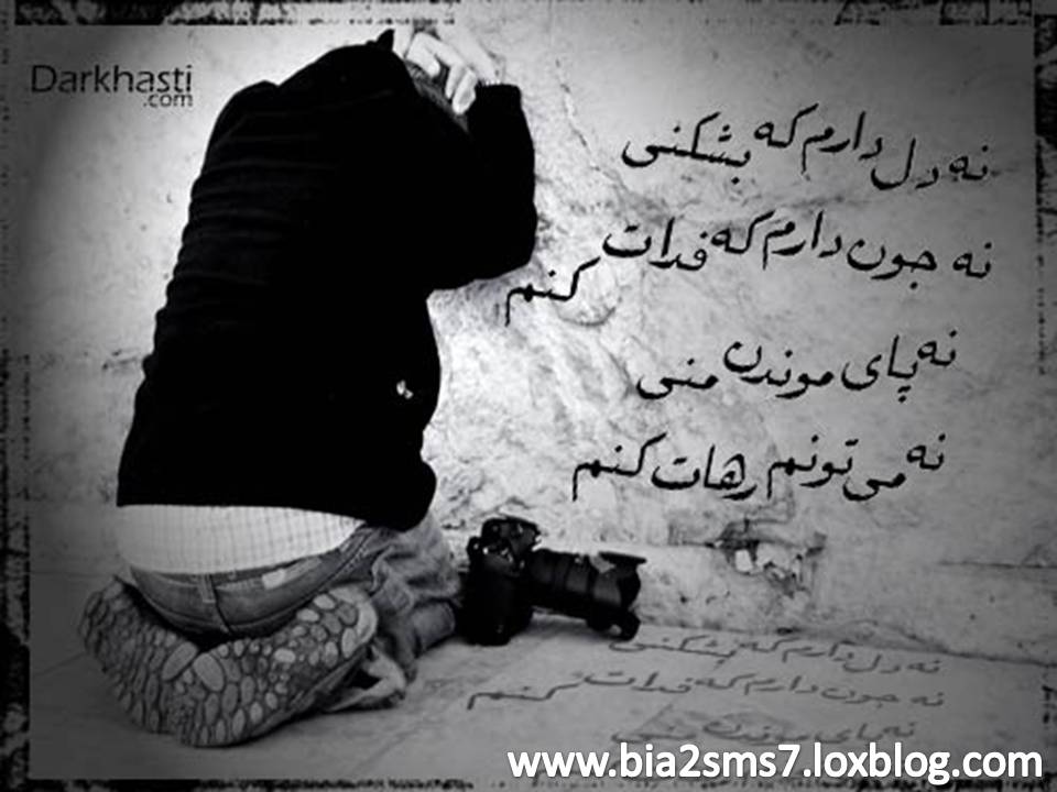 /upload/b/bia2sms7/image/Slide5.JPG