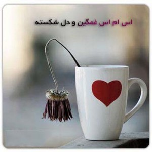 /upload/b/bia2sms7/image/ghamgin-300x300.jpg