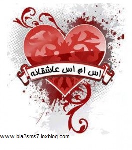 /upload/b/bia2sms7/image/sms-love-35-264x300.jpg